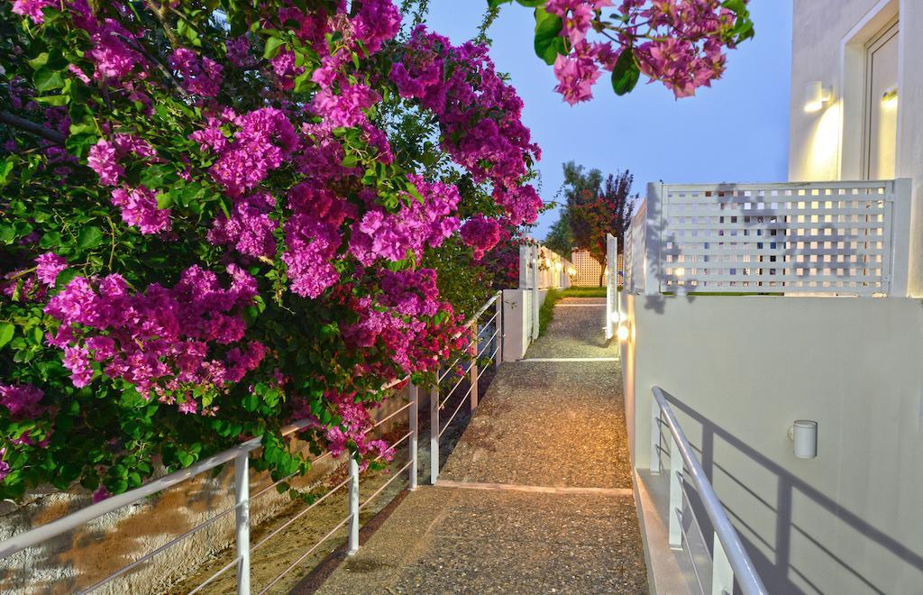 Oliv Apartments Platanes  Room photo